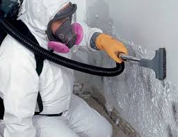 Why You Should Choose Our Mold Remediation Services in Pelican Bay, TX